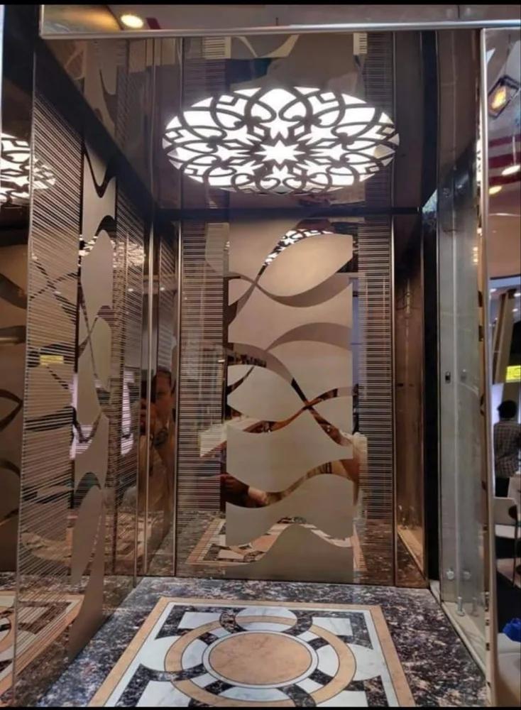 India Elevator Automatic Door Passenger Lift MPLA-6 6 Person 0.3 m/s_3