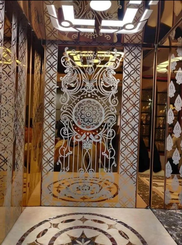 India Elevator Automatic Door Passenger Lift MPLA-8 8 Person 0.3 m/s_2