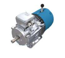 Rotomotive 0.18  - 18.5 kW Worm Gear Motor 500 Nm_0