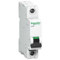 Schneider Electric A9N1P06D Single Pole 6 A D MCB_0