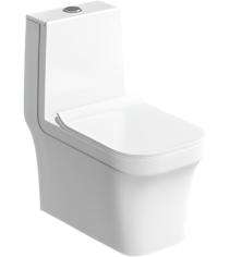 Bathero EWC with Seat Cover and Flush Cobio One PC 21004 - 225 mm Floor Mounted_0