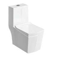 Bathero EWC with Seat Cover and Flush Delta One PC 21026 - 225 mm Floor Mounted_0