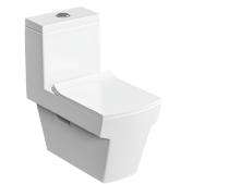 Bathero EWC with Seat Cover and Flush Cosimo One PC 21002 Floor Mounted_0