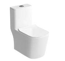 Bathero EWC with Seat Cover and Flush Exotic One PC 21017 - 300 mm Floor Mounted_0