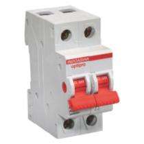 INDOASIAN C22335 125 A 30 kA Double Pole MCCB_0