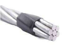 Electrical Centre 100 sqmm Dog AAAC Conductor_0