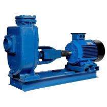 Cast Iron 2 hp Slurry and Sludge Pumps_0