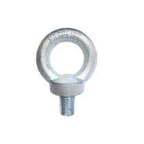 Safelift Stainless Steel 48 mm Eye Bolts 200 mm_0