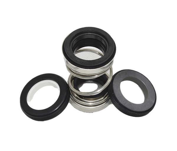 BSC 100 mm Cartridge Mechanical Seal SSI-10 8 bar 20 to 120 deg C_0