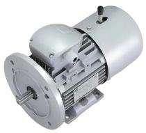 Q POWER S4 Duty 2880 rpm Three Phase 1.5 hp Four Pole Foot Mounted AC Motors_0