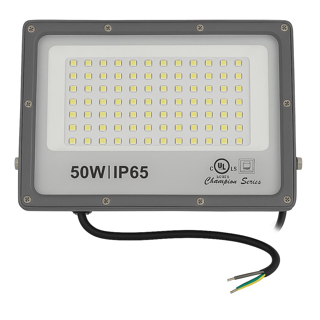 YAMI 50 W Cool White IP65 10 kV 100 Lumen YAMI50WFlood LED Flood Lights_1