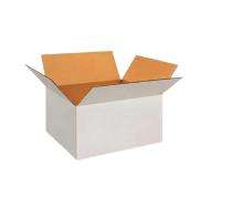Shri Ram 3 Ply 12 x 10 x 8 inch 10 kg White Corrugated Boxes_0