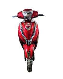 Electrino Active Pro 100 km 32 Ah 5 hr Electric Bike_0