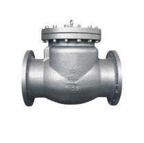 C S Valves 18 inch Swing WCB Check Valves Flanged_0