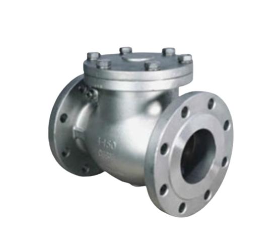 C S Valves 18 inch Swing WCB Check Valves Flanged_1