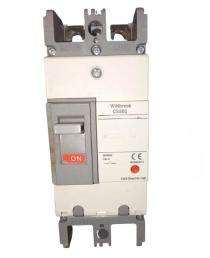 C&S CS2B2C25 25 A 25 kA Double Pole MCCB_0