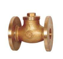 AV Lift Up CI Non Return Valves 50 mm Flanged_0