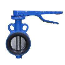 AV 1 inch Wafer CI Butterfly Valves Lug PN 16_0