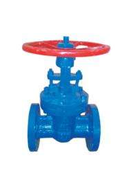 AV 80 mm Manual Cast Steel Gate Valves Flanged_0