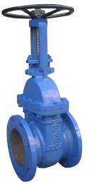 AQUA 65 mm Manual Hastelloy Gate Valves Flanged_0