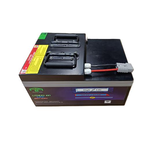 Antler 45 Ah 60.8 V Lithium Ion Batteries_1