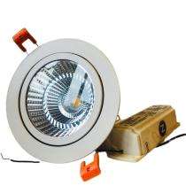 Zentrex ZS-DL-20COB/R/MV 30 W LED COB Light 1800 Lumen White_0
