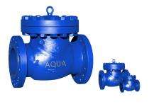 AQUA 65 mm Swing Hastelloy C Check Valves Flanged_0