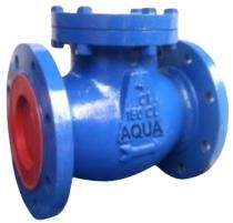 AQUA 50 mm Lift Hastelloy C Check Valves Flanged_0