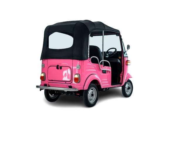 MVM 100 km 105 Ah Electric Rickshaw_1