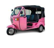 MVM 100 km 105 Ah Electric Rickshaw_0