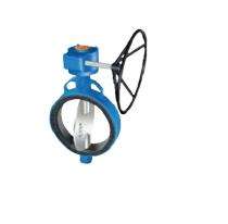 AQUA 80 mm Manual Hastelloy C Butterfly Valve BFV PN-10_0
