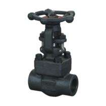 C S Valves Manual CS Gate Valves 1.25 inch Class 800_0