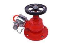 Sangam Stainless Steel Single Headed Hydrant Valves_0