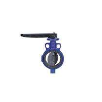 Nupro 40 mm Hand Lever Cast Iron Butterfly Valve BV01_0