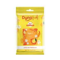 DYNA Air Freshener Gel Citrus_0