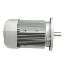 Bonfiglioli BX 200LA 1483 rpm Single Phase 40.23 hp Four Pole Foot Mounted AC Motors_0