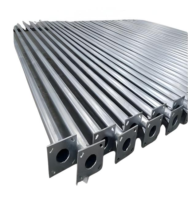 Swami 11 m MS Poles_1