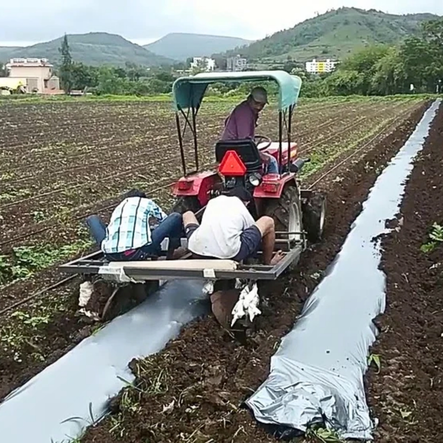 SINGHAL LLDPE 25 micron Mulch Film 1 m Black_3