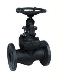 SQK CF8M 25 bar Plug Valve 2 in Manual_0