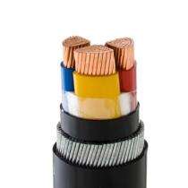 Polycab 3 Core 6 sqmm Industrial Flexible Cables 100 m Copper 1100 V_0