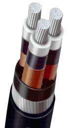 Polycab Aluminium PVC Armoured PVC LT Power Cables 3 Core 50 sqmm 1100 V_0