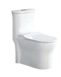 Parryware EWC with Seat Cover and Flush Floor_0