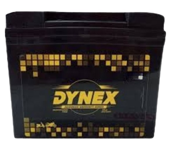 DYNEX 12 V 72 Ah Lead Acid UPS Battery_1