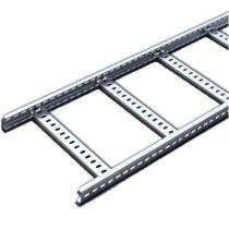 Phoenix Galvanized Iron Powder Coated Ladder Cable Trays 40 mm 300 mm 2 mm_0