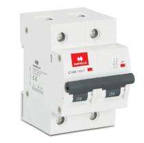 HAVELLS DHMJCDPF100 Double Pole 100 A C MCB_0