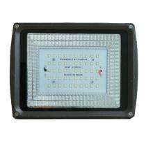 Annual 50 W Cool White IP66 4 kV 5000 Lumen BCFL-50W LED Flood Lights_0