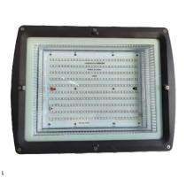 Annual 300 W Off White IP66 10 kV 29800 Lumen BCFL-300W LED Flood Lights_0