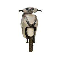 YAAN ACTIVE 80 km 32 Ah 4 hr Electric Bike_0