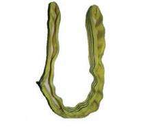 3 m Endless Round Sling 1 ton RWS50102_0