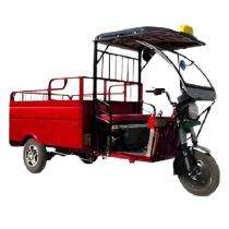 Inpower E-001 Electric Rickshaw Loader_0
